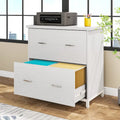 2-Drawer Lateral File Cabinet and Printer Stand with Storage