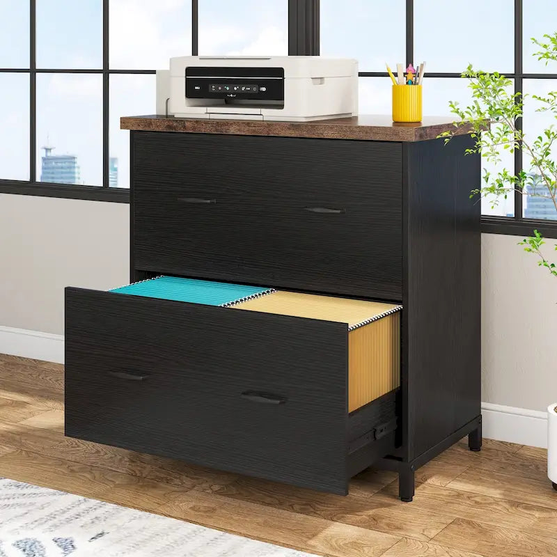 2 Drawer Lateral File Cabinet Printer Stand with Stroage