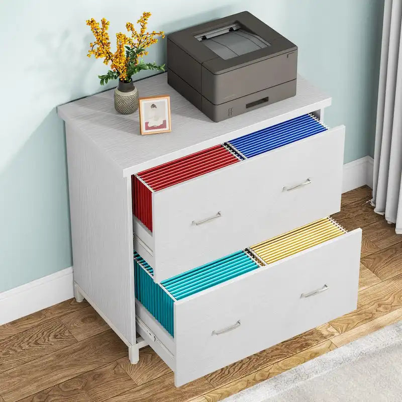 2-Drawer Lateral File Cabinet and Printer Stand with Storage